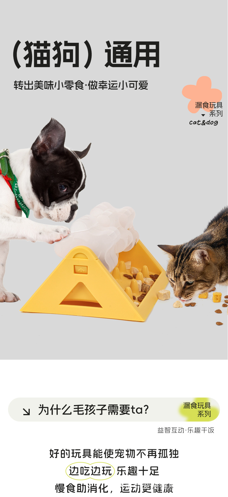 宠物益智用品.jpg