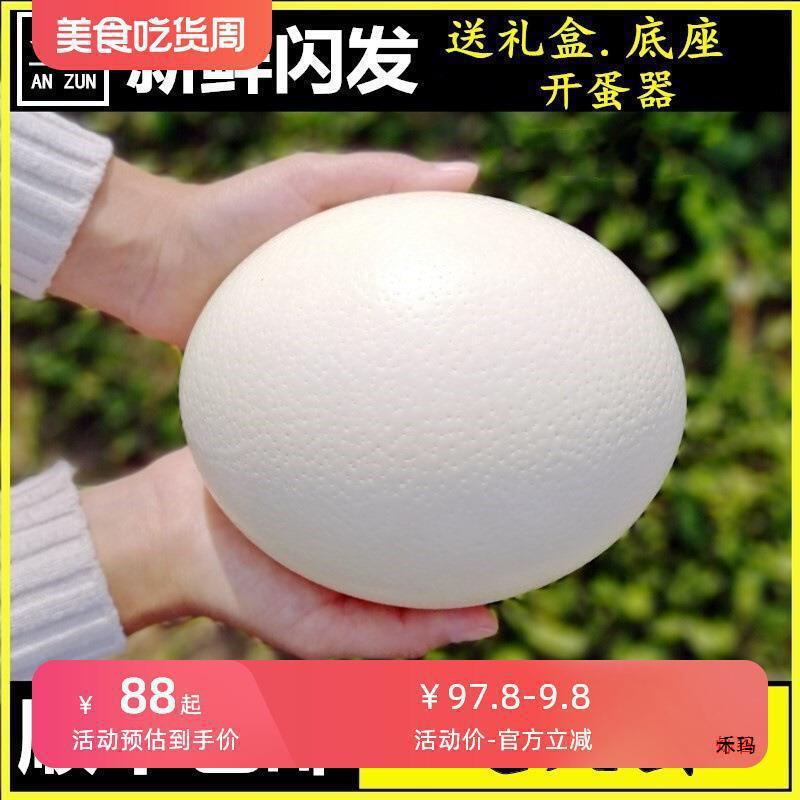 安尊顺丰包邮鸵鸟蛋鸸鹋蛋新鲜可食用蛋大号驼鸟蛋端午节
