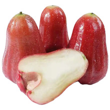 �ڽ���ɏ�F�a�ظ���ֱ�l����ˮ��ɏ�F���]���rˮ��ɏ�Fһ�����l