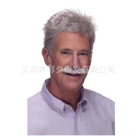 欧美中老年短直发外贸卷发银灰色男士假发 欧美艺术男发工厂代发