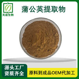 蒲公英提取物10:1 蒲公英黄酮 水溶性 蒲公英浓缩粉 工厂量大从优