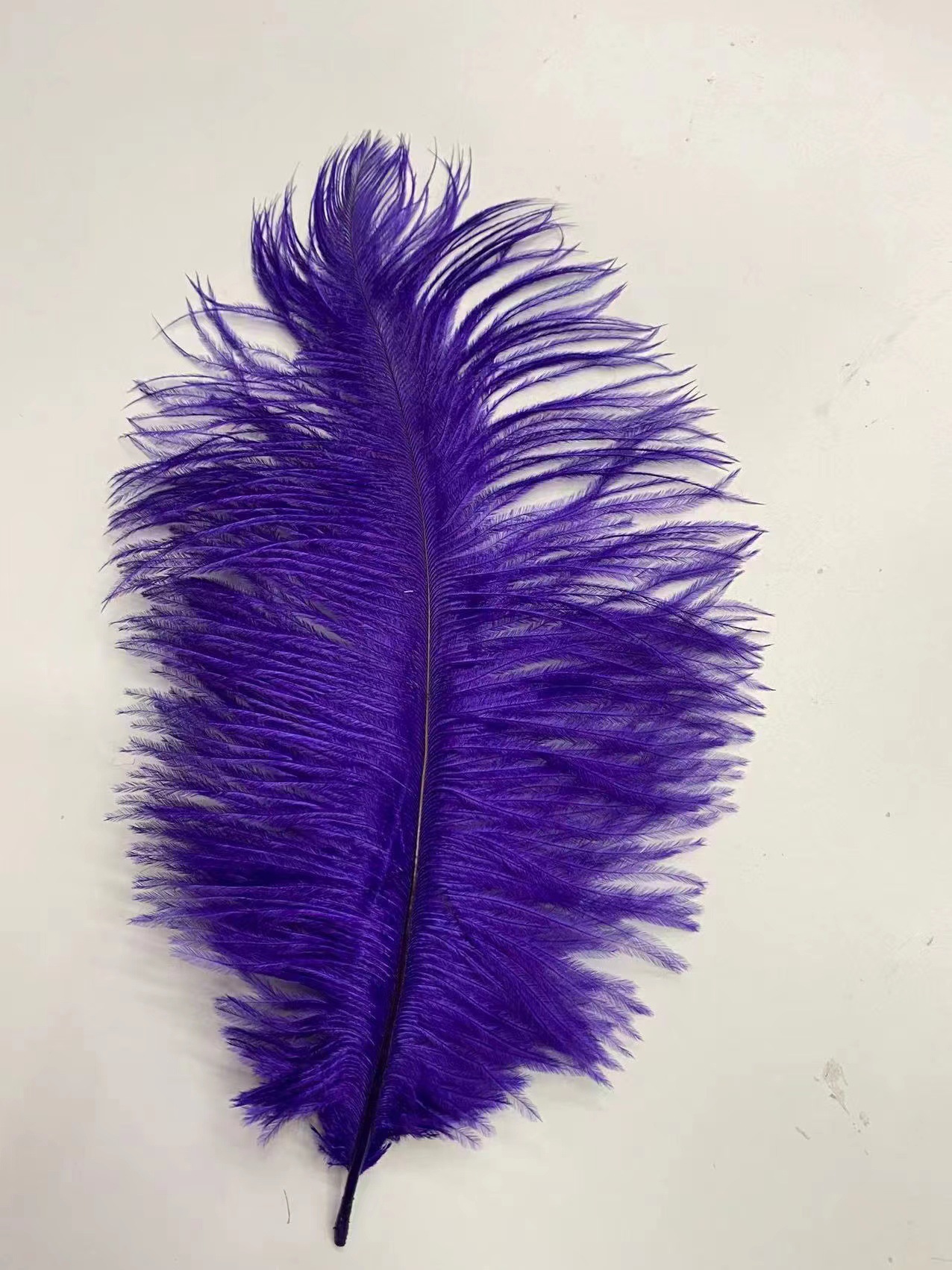 微信图片_20221127230135