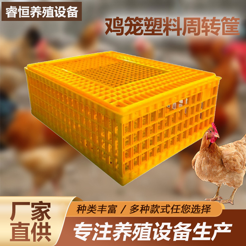 Caja de plástico para transporte de pollos, resistente y a prueba de caídas, para el transporte de aves, jaula de cría de pollos de plástico para uso doméstico, en stock.