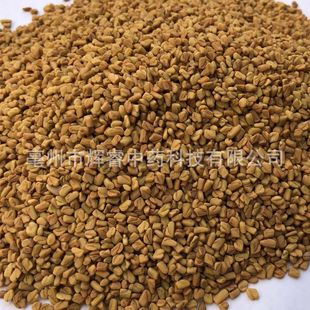 ��ș���J�������l��؛���J�ͺ��J�� �ඹ��