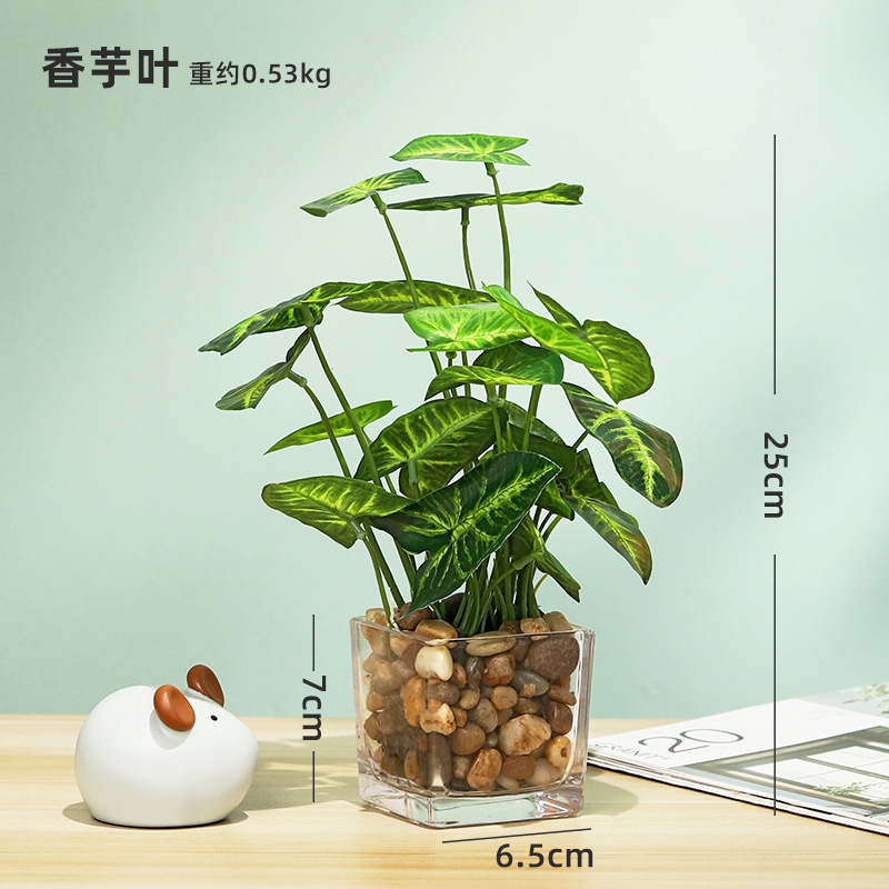 타로 잎 시뮬레이션 화분