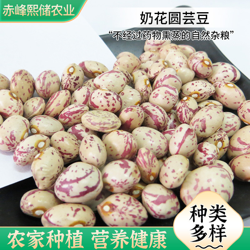 厂家批发新圆奶花芸豆  煲粥煲汤用杂粮奶花芸豆 农家自种圆花豆