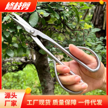 批发不锈钢叶芽剪 园艺剪修枝剪插花剪盘景剪 修剪果树枝园林工具