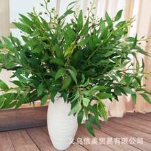 R�����~������ֲ�����~��Y��c·������ ����ֲ��zӡ���������~