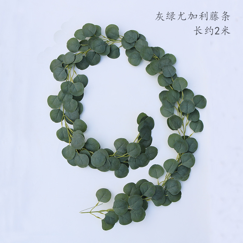 Gris Verde Hoja de eucalipto Ratán