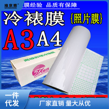 批发12.5寸冷裱膜 卷筒A3 A4自粘31cm亮膜哑膜光面照片图文十字闪