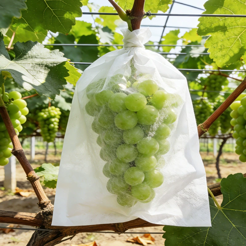 Спотовая сумка для винограда манго