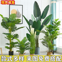 北欧家居客厅大型仿生植物装饰假散尾葵旅人蕉盆栽仿真树仿真绿植