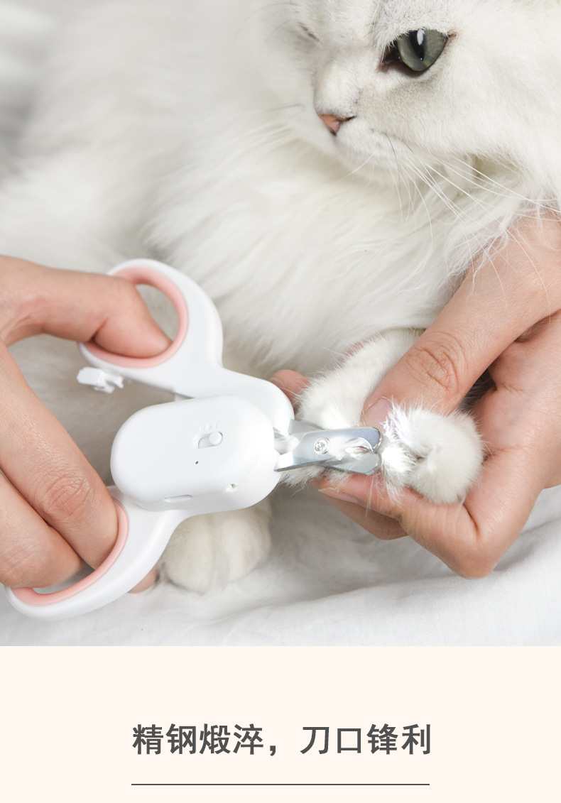 带灯猫剪 (8).jpg