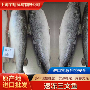 �����~ �����M���ك��~���l�����~ �߶�ʳ��