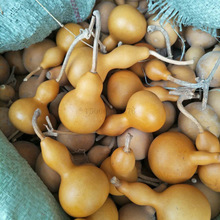 �ĳ���Ȼ������ˇ���J�Ӯ��ز����־����õؔ��R�����J�a��ֱ�N