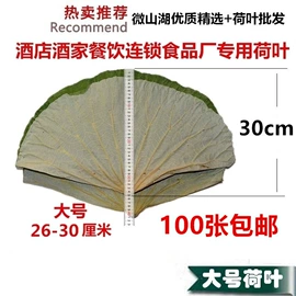荷叶;代用/养生茶