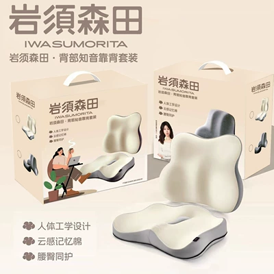 Yanxusen Tian Memory Foam Lumbar Support Cushion for Office and Car Use, Dual-Purpose Waist Support Pillow for Seat Backrest