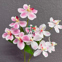 ��2026�¿�f���m�����m�����m��c�ٻ���Y�û����b��ٻ�