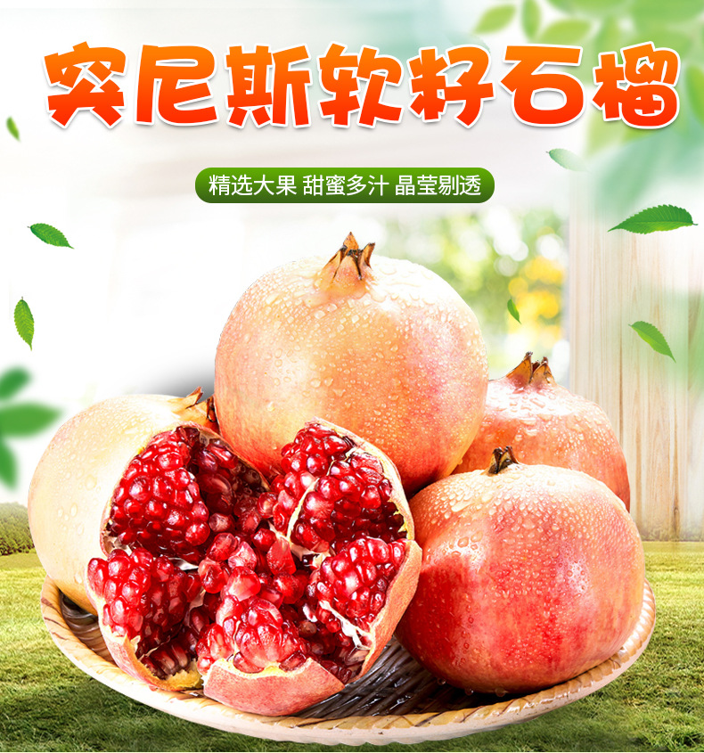 软籽石榴_01