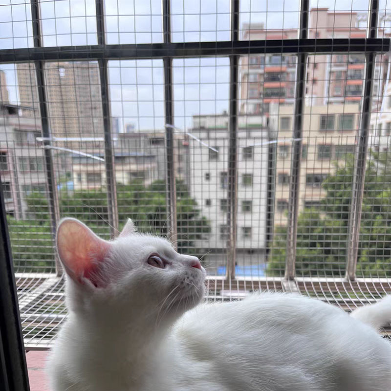 批发镀锌防锈阳台封网防盗窗垫网防鼠铁丝网防掉网安养猫封窗