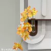 Hanging Vanda orchid