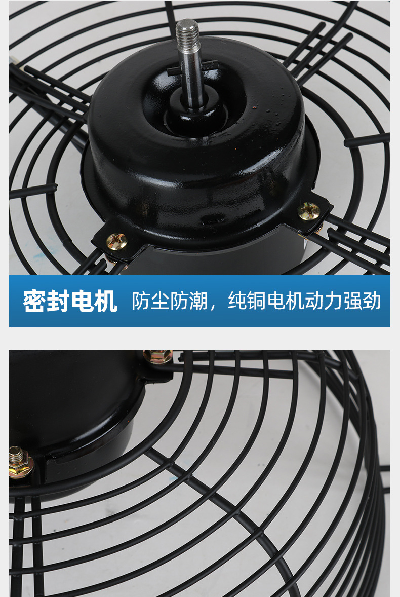详情_17.jpg