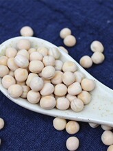 㶹؛ rԮa㶹lѿؑcСϕɶsZ