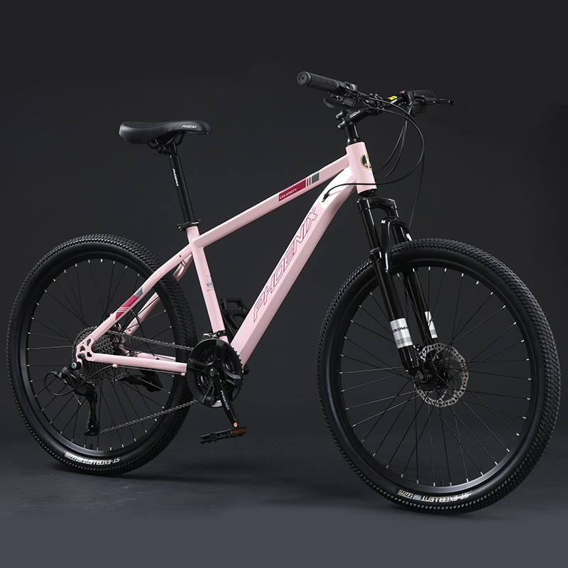 Steel Frame Spoke Wheel-Pink-24 Inch-24 Speed