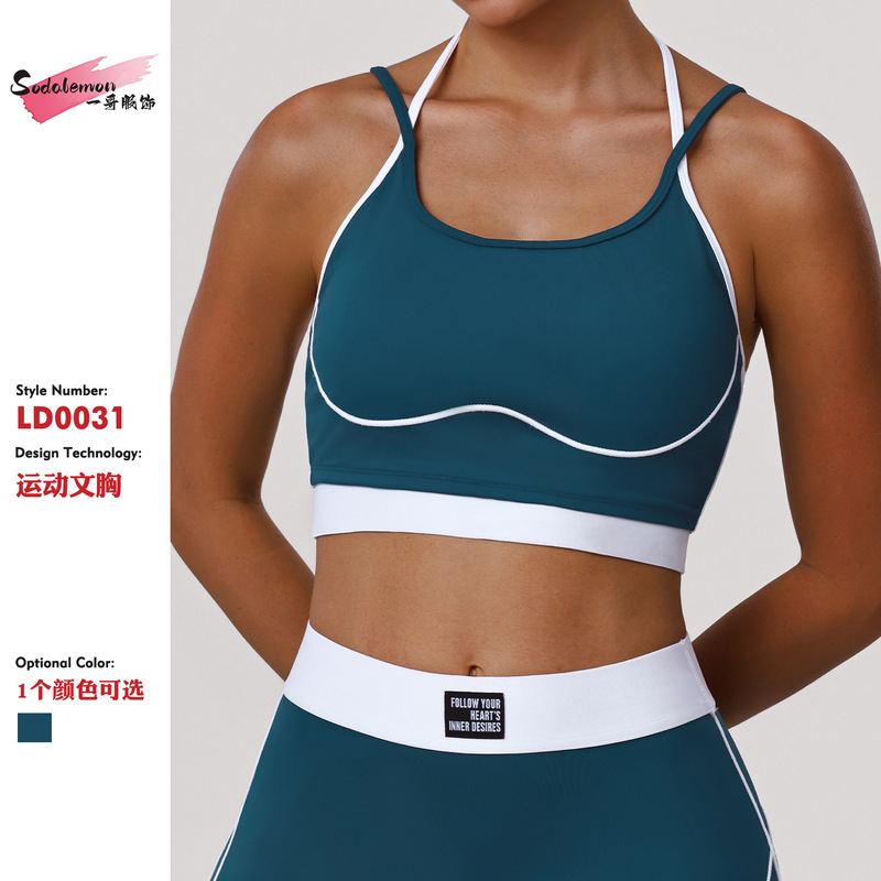 Color-Blocked Fitness Bra, Shock-Proof Outdoor Running Training Sports Bra, Yoga Vest with Padded Fixed Cup, All-In-One