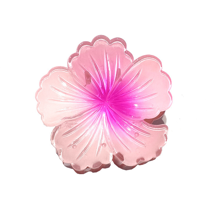国境を越えたアマゾンの卵の花がグラデーションの花のキャンディー色の紫荊花の後頭部をつかんでサメの花を挟んで髪を伸ばします。|undefined