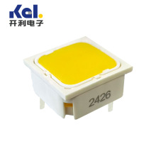 厂家供应3.14.100.006/0000  15X15方形工业键盘带灯按键开关