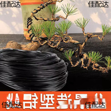 �辰�������z�_�h�������X���@�֘������Ͷ������F�zܛ�X�z�@ˇ��