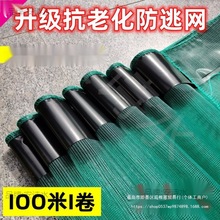 100��С���r���ӾW���Wţ�������з���~���r���Bֳ���ӾW����Ĥ