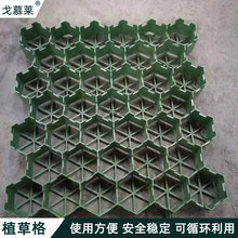 塑料植草板 园林边坡绿化通道停车植草格 消防车道植草砖