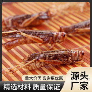 �ͶY���rΛ����ը��ʳ�ִ���xʳ�ü�ʳ������ʳ�����x��ϐ����ʳ