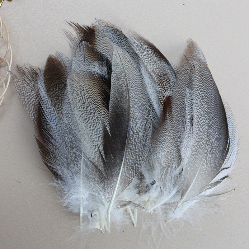 Fábrica al por mayor de bricolaje plumas pequeñas plumas naturales plumas de pollo salvaje plumas de pato jardín de infantes joyas hechas a mano gato divertido material de captura de sueños