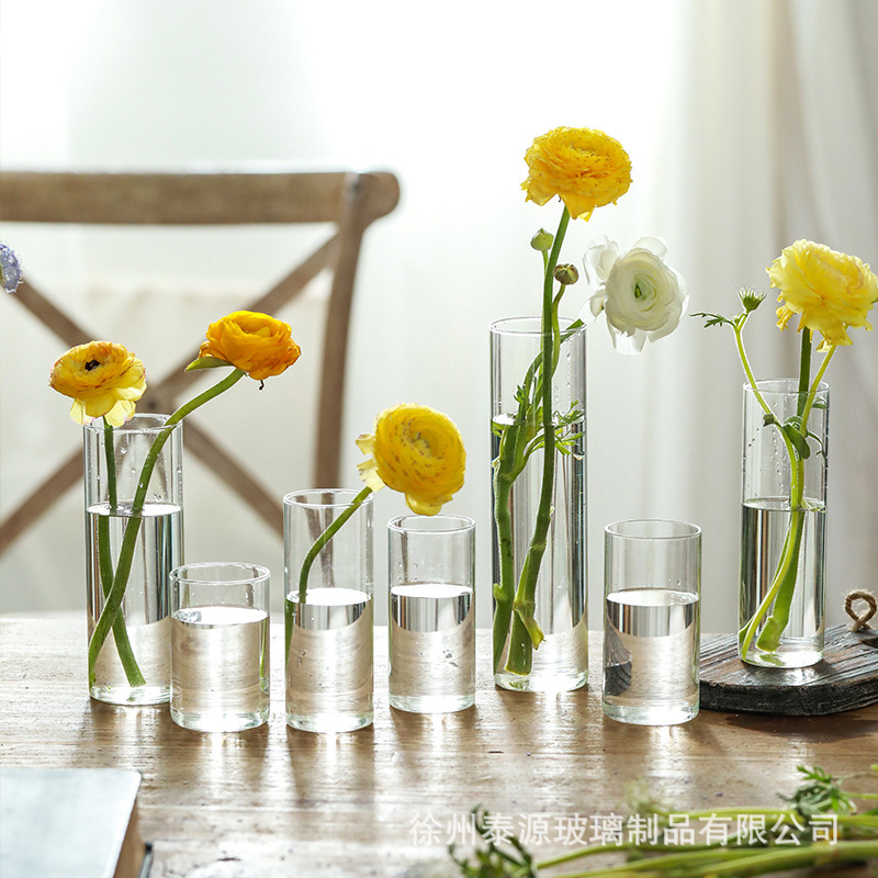 Ins-Style Transparent Straight Glass Vase for Homestay Interior, Café Tabletop, Dining Table, Hydroponic Green Plant Decoration Ins-Style Transparent Straight Glass Vase for Homestay Interior, Café Tabletop, Dining Table, Hydroponic Green Plant Decoration