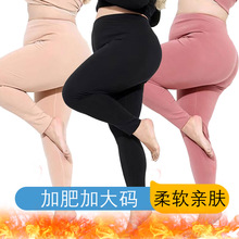胖mm加肥加大码蚕丝双面加厚打底线裤200斤大码可外穿防寒秋裤女