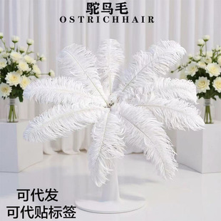 �S�ҬF؛����15~80cm�r�Bë��c��̨�ݳ���������羳��ë���l