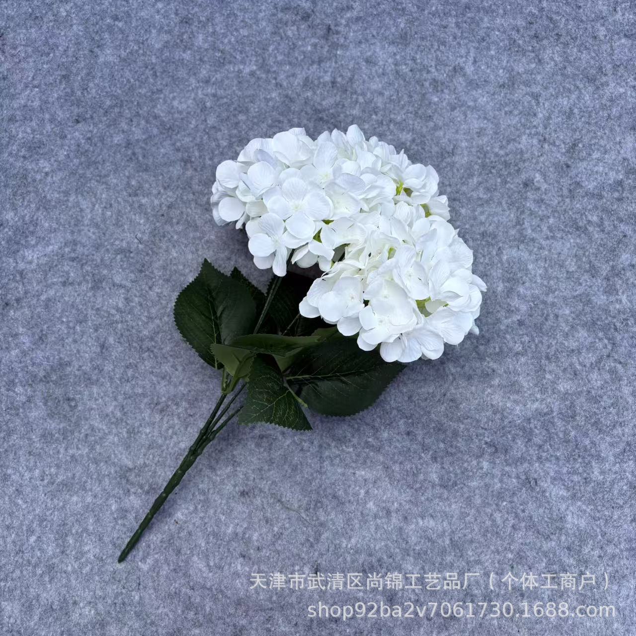 유백색
