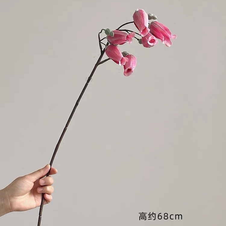 로즈 레드