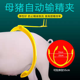 母猪输精夹猪用输精支架人工授精配猪架子配种授精母猪用夹子设备