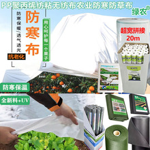 跨境PP白色农用防寒除草无纺布保温透湿抗老化农用拼接覆盖布