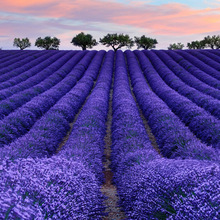 ޹�²ݷN���ļ����N�׻�ͥԺ���Ի�����û��Ѷ������ͺ��ݻ��N��