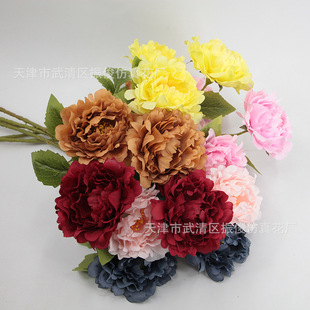 ���^��ĵ�����껨�����ٻ��Ҿӿ͏d�[�Ż��b�c��Y��·����ˇ