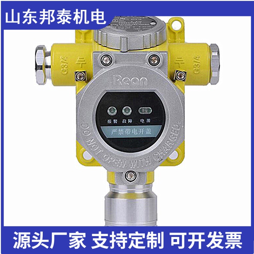 一氧化碳气体报警器 固定式探测器 RBT-6000型一氧化碳气体报警器