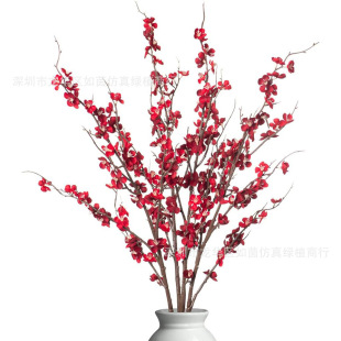 �羳����÷��֦�ٻ����l�������컨������Gֲ�b��÷��滨�ѻ�