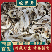 ����Ұ�����׸�Ƭ��֥��ԭ������ƬҰ��������؛ʳ�����a�Ҝ�