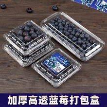 蓝莓水果盒子一次性透明蓝莓塑料盒蓝莓打包盒加厚树莓包装盒批发