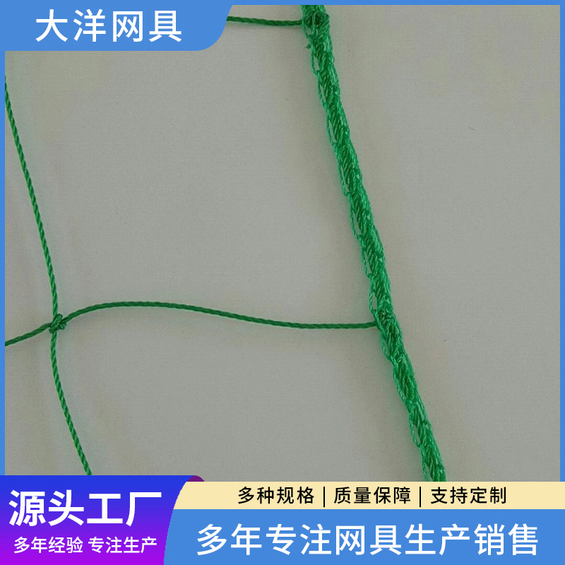 菊花网 厂家供应PE爬藤绿色菊花网 瓜果蔬菜格子菊花大葱网批发